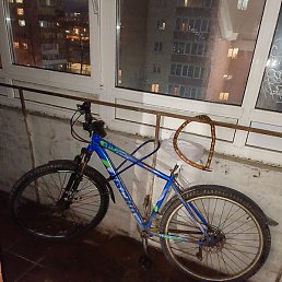 Inatulloev, �����-���������, 29 ���