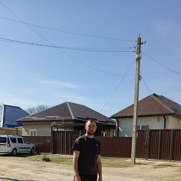 , 31, 