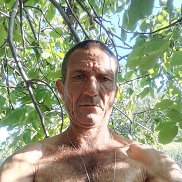 , 47 , 