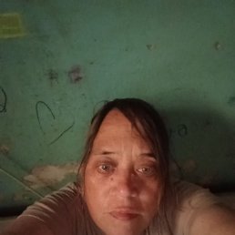 ���� ����, ���������, 40 ��� - ��������� 3 ������� 2026
