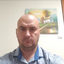 ����, 44 ����, ������