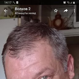 ��������, 48 ���, ��������