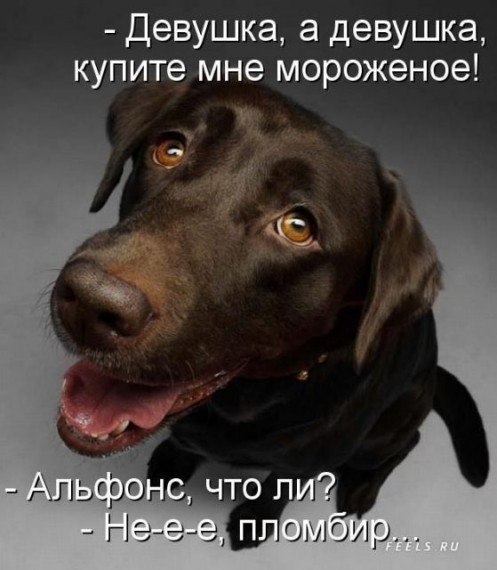   - 1  2025  09:26