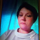 ���� �����, �������-���������, 58 ��� - ��������� 8 ������� 2024 � ������ ���� ����������