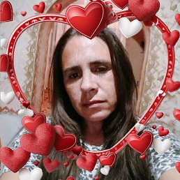 ���� �������, �����������, 41 ��� - ��������� 10 ������� 2026