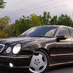 ���������, ���������, 23 ����