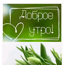 �����, ������