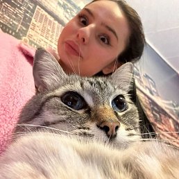 , 24, 