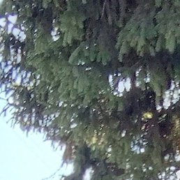 Фото Альберт, Белорецк, 57 лет Альберт, Белорецк, 57 лет