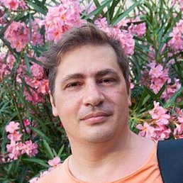 �����, ������, 53 ����