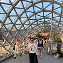 ���� ������, ������-��-����, 55 ��� - ��������� 3 ���� 2025 � ������ ���� ����������