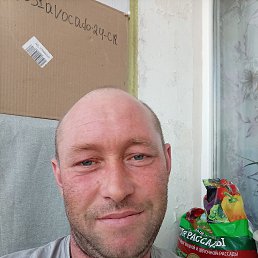 ������, 37 ���, ����