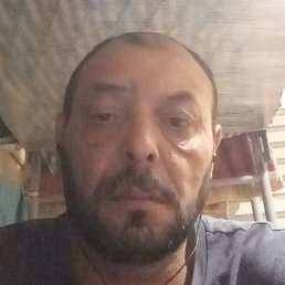 ������ �������, ����, 45 ���