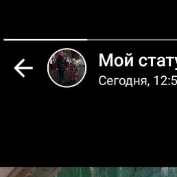 ����, ������-��-����, 46 ���