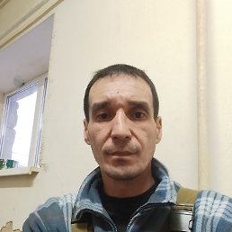 , 41, 