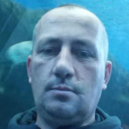  ,, , 38  -  27  2025