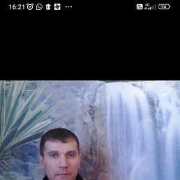 ������, 46 ���, ������