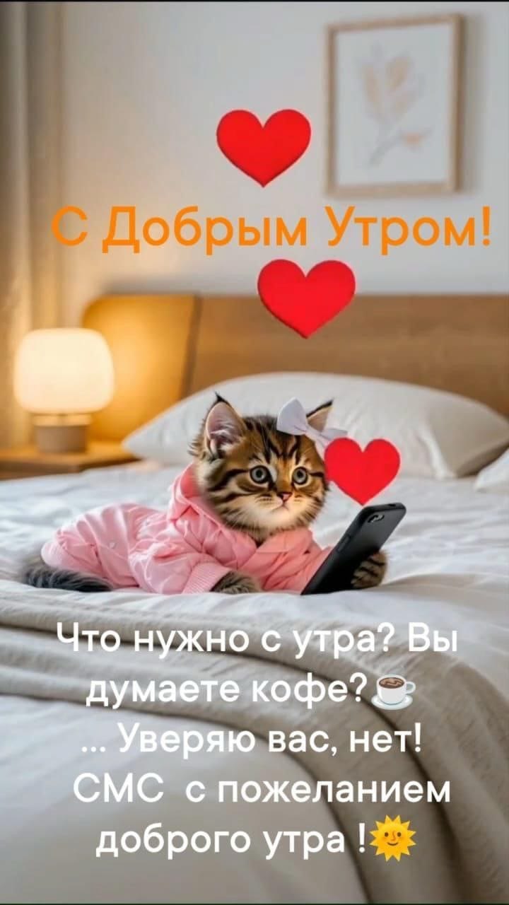 ***Victoria Viktorovna*** - 9 октября 2025 в 05:23