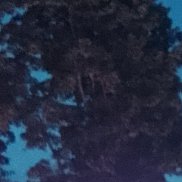 , 28 , 