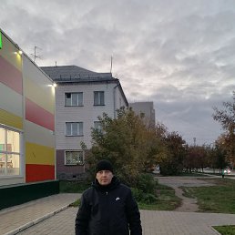 ���� �������, �����������, 43 ���� - ��������� 12 ������� 2026