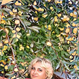 ���� ������, �������, 62 ���� - ��������� 23 ������� 2023