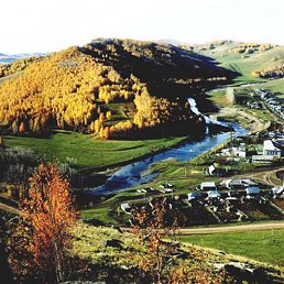 �����, ���, 40 ���