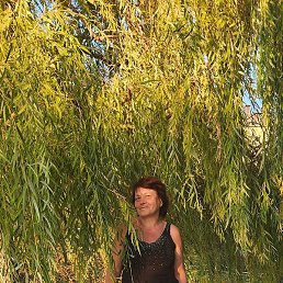 �������, �����