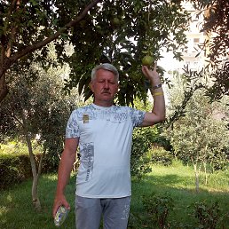 ���� Nik, ������, 64 ���� - ��������� 2 ������ 2023