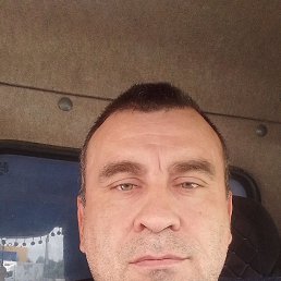 , 44, 