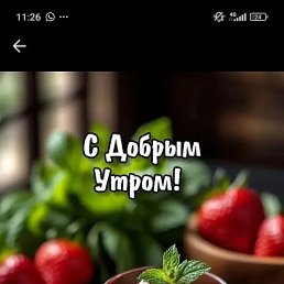 ������, ���������, 41 ���