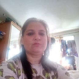 , 43 , 
