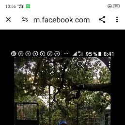  , , 55 