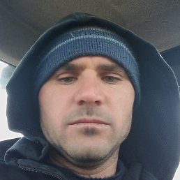 �����, �������, 36 ���