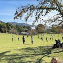 ���� ������, ������, 34 ���� - ��������� 8 ������ 2025 � ������ ���� ����������