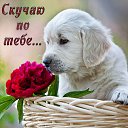 ���� �� �����, ������, 54 ���� - ��������� 20 ������ 2023