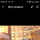 ���� ������, ������-��-����, 51 ��� - ��������� 14 ������ 2026 � ������ ���� ����������