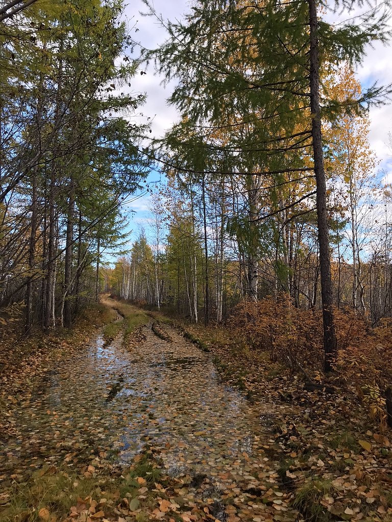 Рeкa Олёкмa, ceнтябpь. - 3