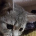 ���� Izabella, �����, 67 ��� - ��������� 17 ������� 2023 � ������ ���� ����������