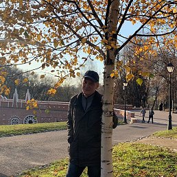 �����, �������