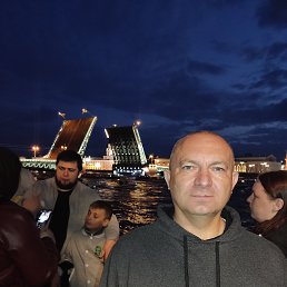  , 46 , 