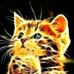 ���� ����, ������-��-����, 35 ��� - ��������� 23 ������ 2025