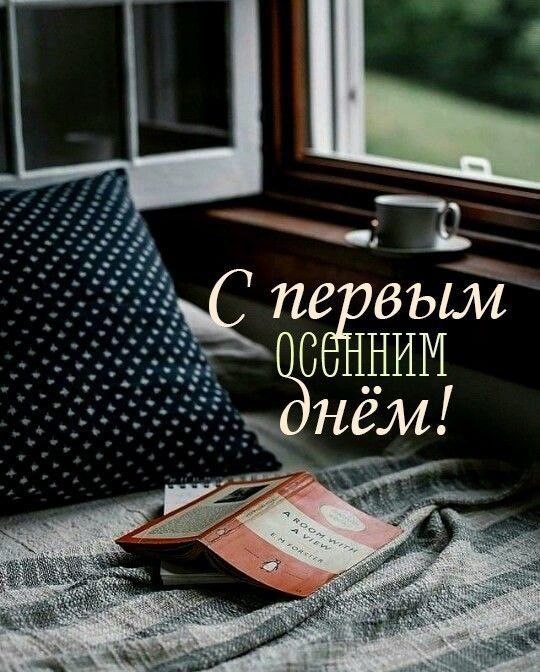   ,    . - 1  2025  08:16