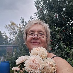 ���� ��������, ����, 62 ���� - ��������� 13 ������� 2026