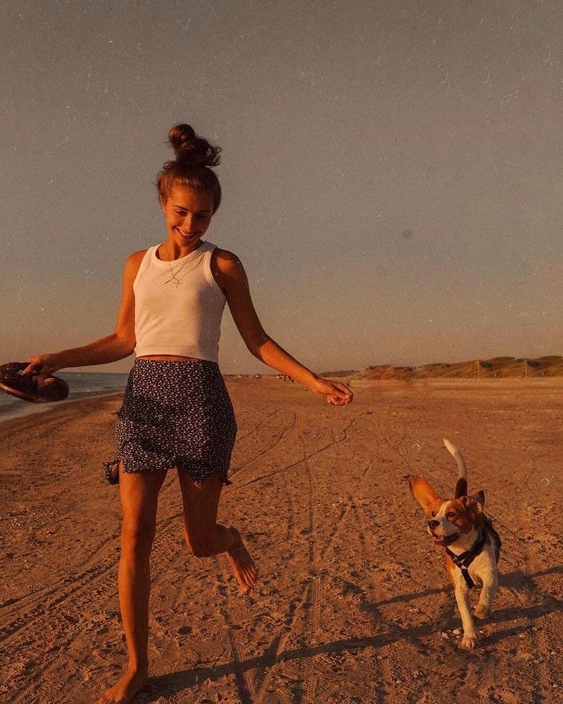    : 1.  ac,  .    , ... - 8