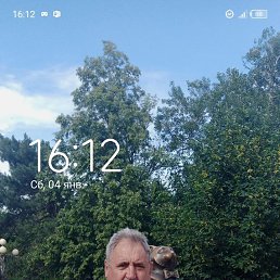 , 65 , 