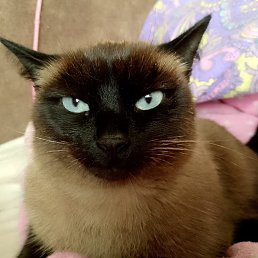 ���� ˸��, ���������, 30 ��� - ��������� 5 ������ 2025