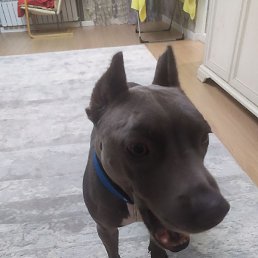 �����, ������, 56 ���