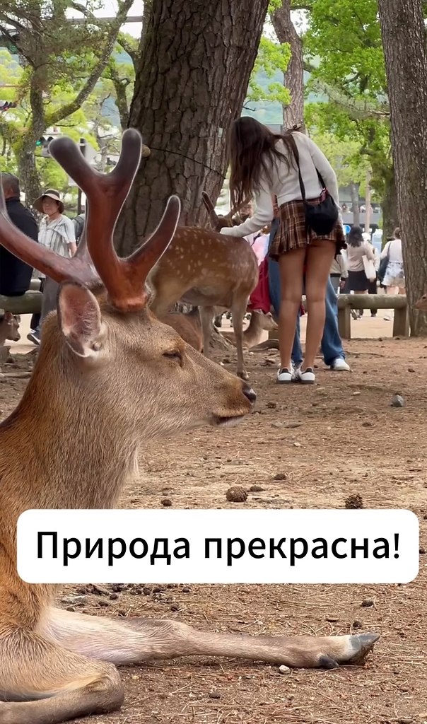   - 2