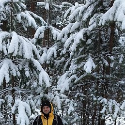 ���������, ������, 34 ����