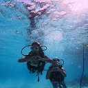 ���� Sonal, ������ - ��������� 19 ���� 2025 � ������ ���� ����������